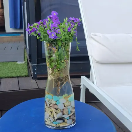 Apartamento Ibiza Dosrius *