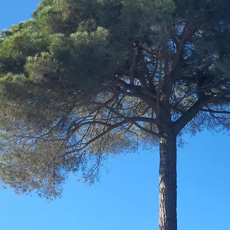 Ibiza Dosrius Canyamars