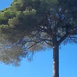 Ibiza Dosrius - Con Jacuzzi Y Piscina Privada Canyamas