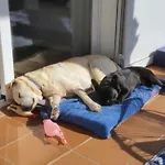 Ibiza Dosrius - Con Jacuzzi Y Piscina Privada